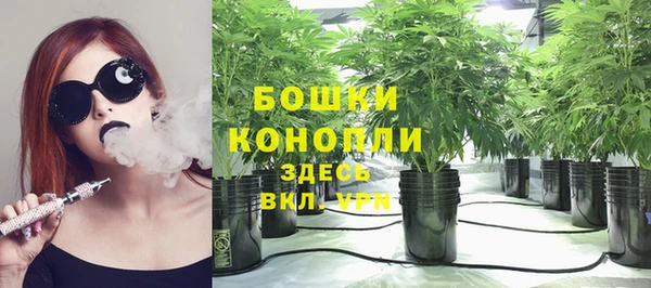амф Белокуриха