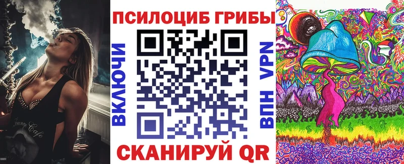 Галлюциногенные грибы прущие грибы  Чкаловск 