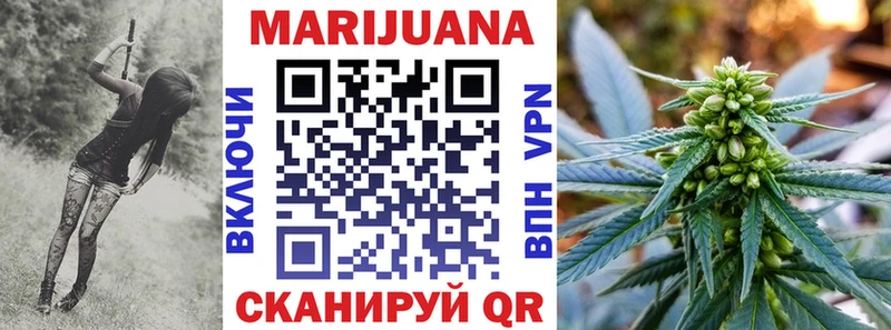 Каннабис сатива  Чкаловск 